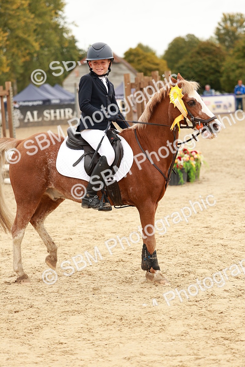 SBM_58084 - J11 - Junior Pony 50cm Championship
