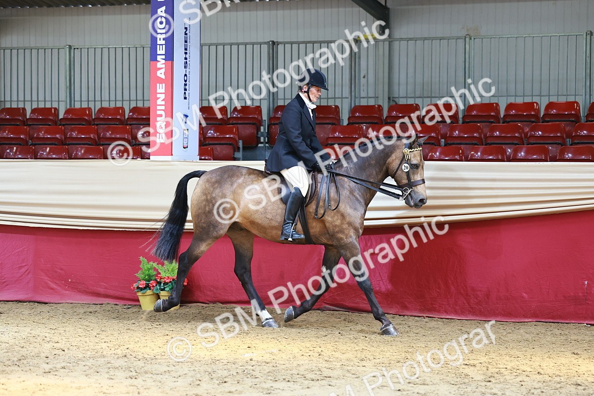 SBM_23894 - Class 905 - Supreme Final - Ridden Veteran