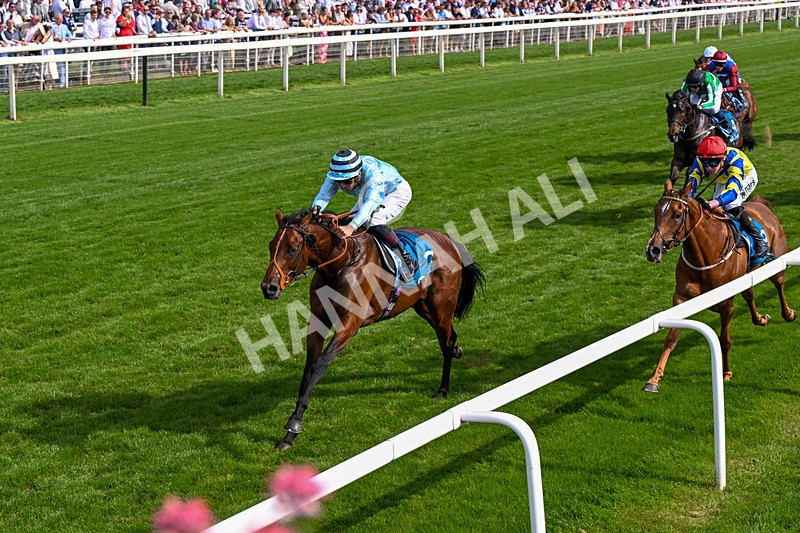 230526-Race 6-Pearl River-0623 - Race 6 16.25pm Royal Yorkshire Regiment Handicap