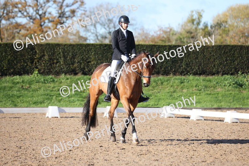 20251102-0463 - Class 3 - Novice 5