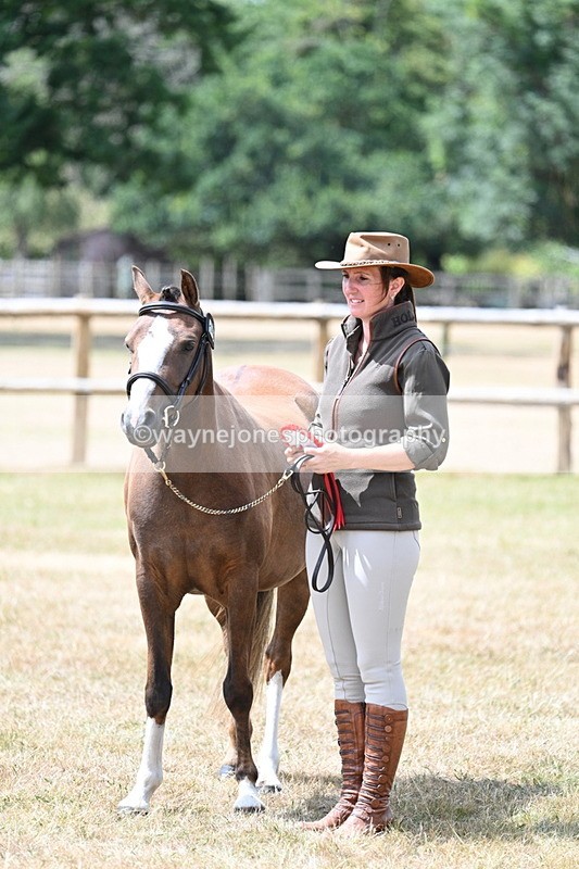WJ7_1742 - Class 4 Prettiest Mare up to 14.2hh in hand