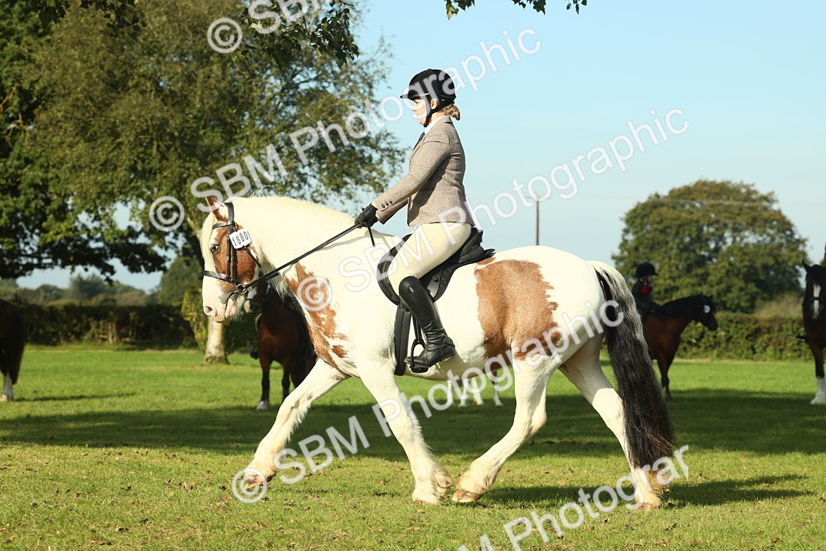 SBM_59905 - S38 - Starters Ridden Showing