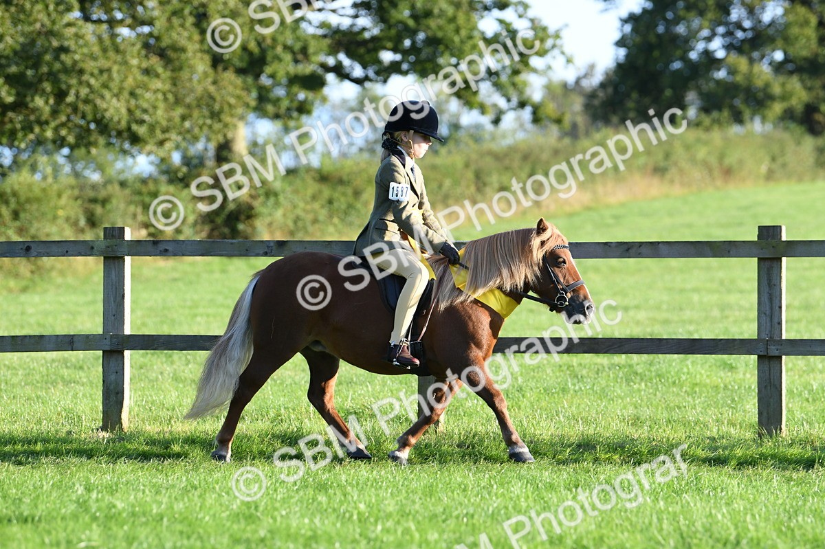SBM_56403 - 1st Ridden Supreme Championship
