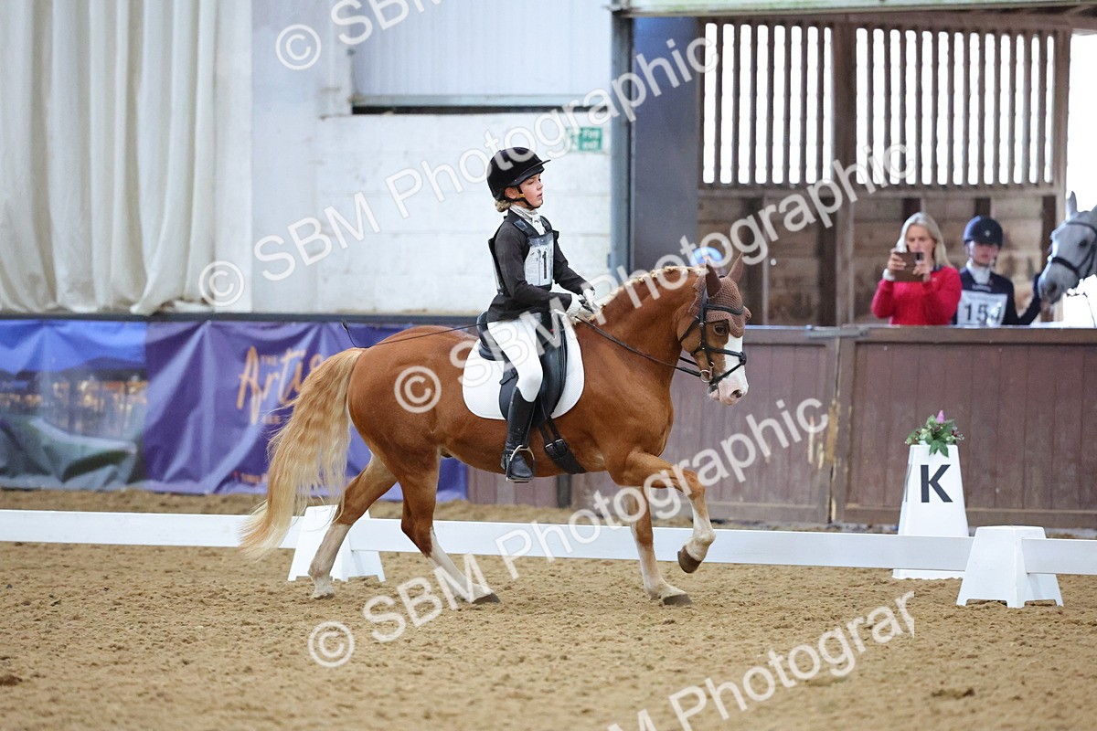 SBM_004204 - Intermediate