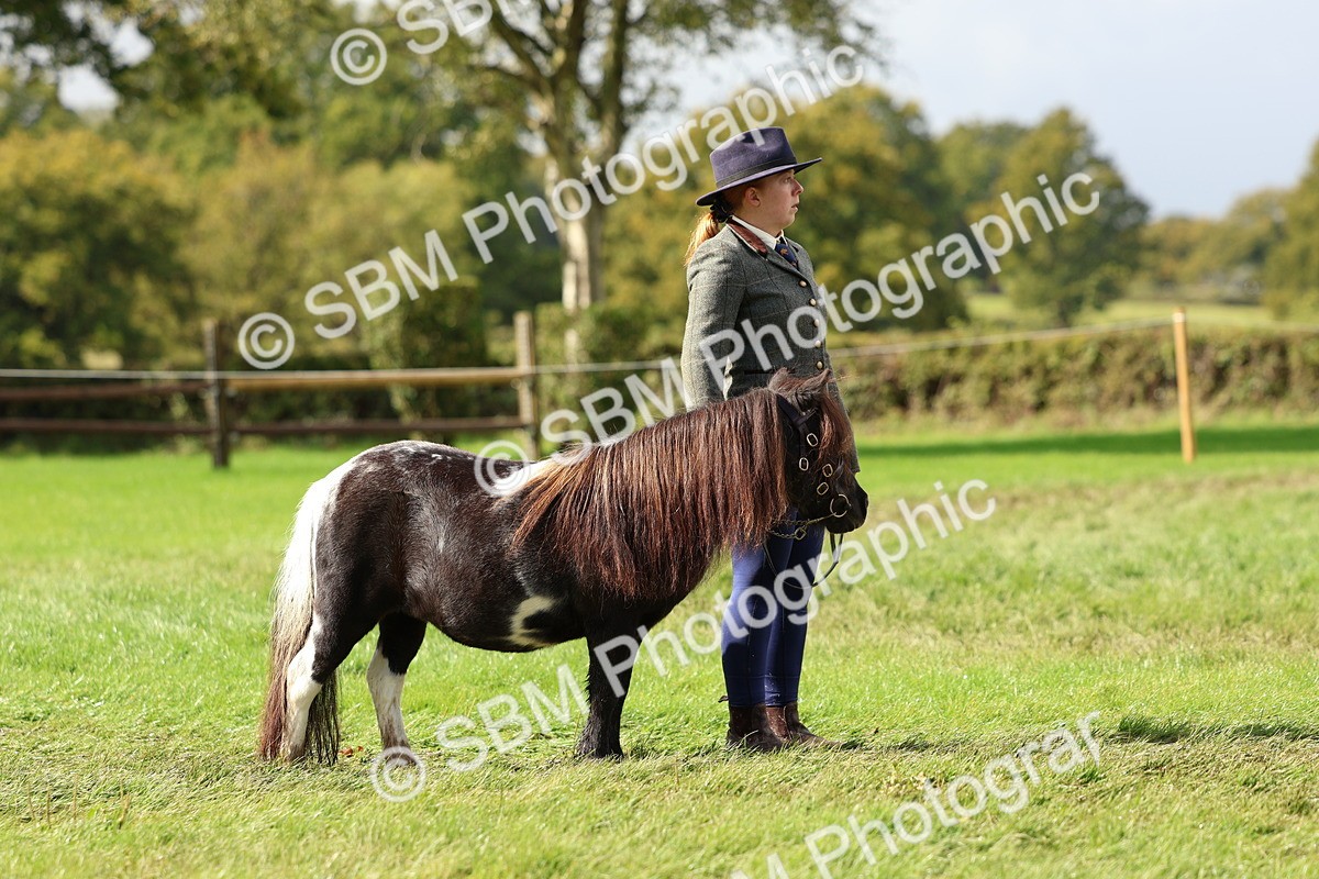 SBM_39418 - S24 - Young Veteran In Hand