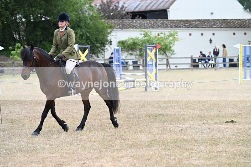 WJ7_0309 - Class 6 Ridden Mountain and Moorland