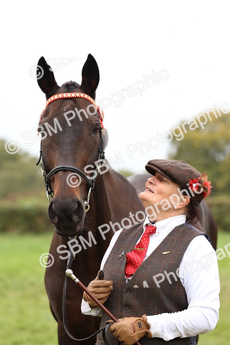 SBM_59922 - S36 - Rehabiliated Rescue Horse & Pony In Hand & Ridden
