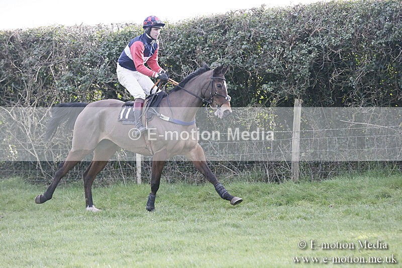 PtP 040218 447 - Point-to-Point Milborne St Andrew 04/02/18