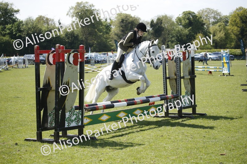 20250427-2346 - Class 13 - Novice Jumping 60cm