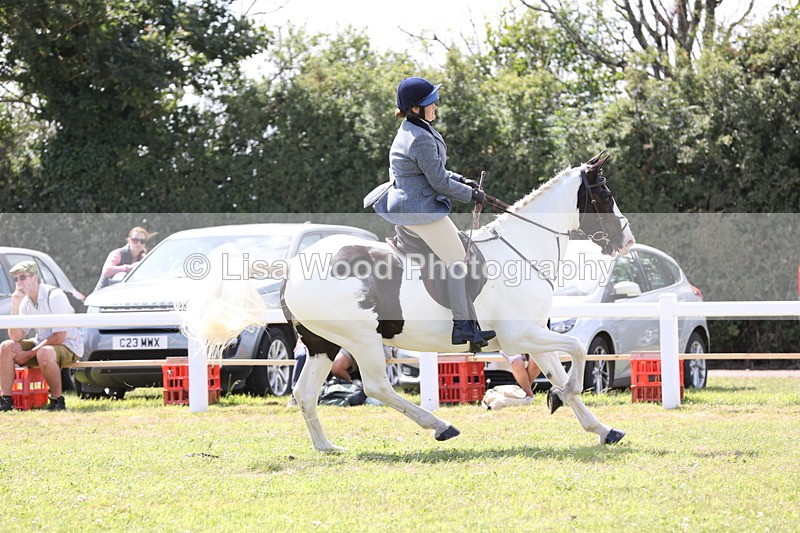 JPP_2208 - Class 19: Working Hunter 60cm