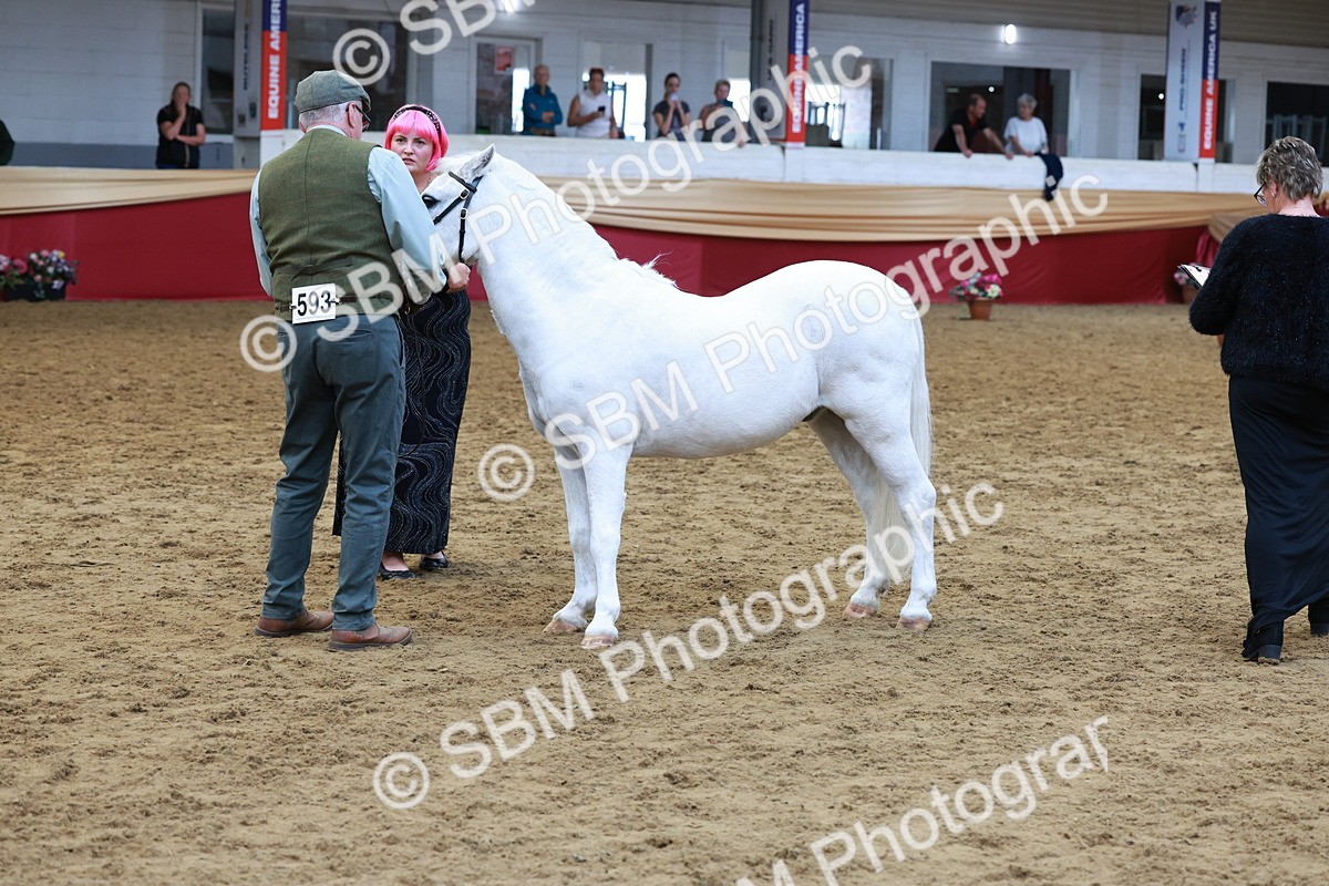 SBM_17377 - Class 951 - M&M IH Supreme Final