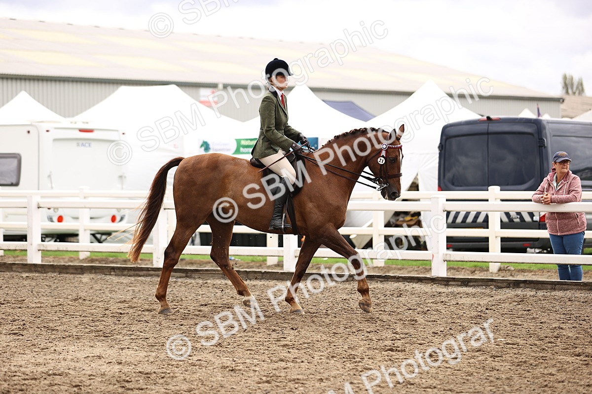 SBM_00533 - Class 53 - Ridden Competition Horse Pony