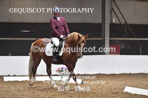 BPP_3169 - INTRO TEST 3