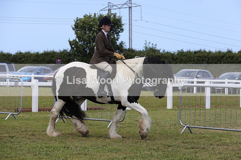 1X9A4338 - Class 34: Veteran Ridden