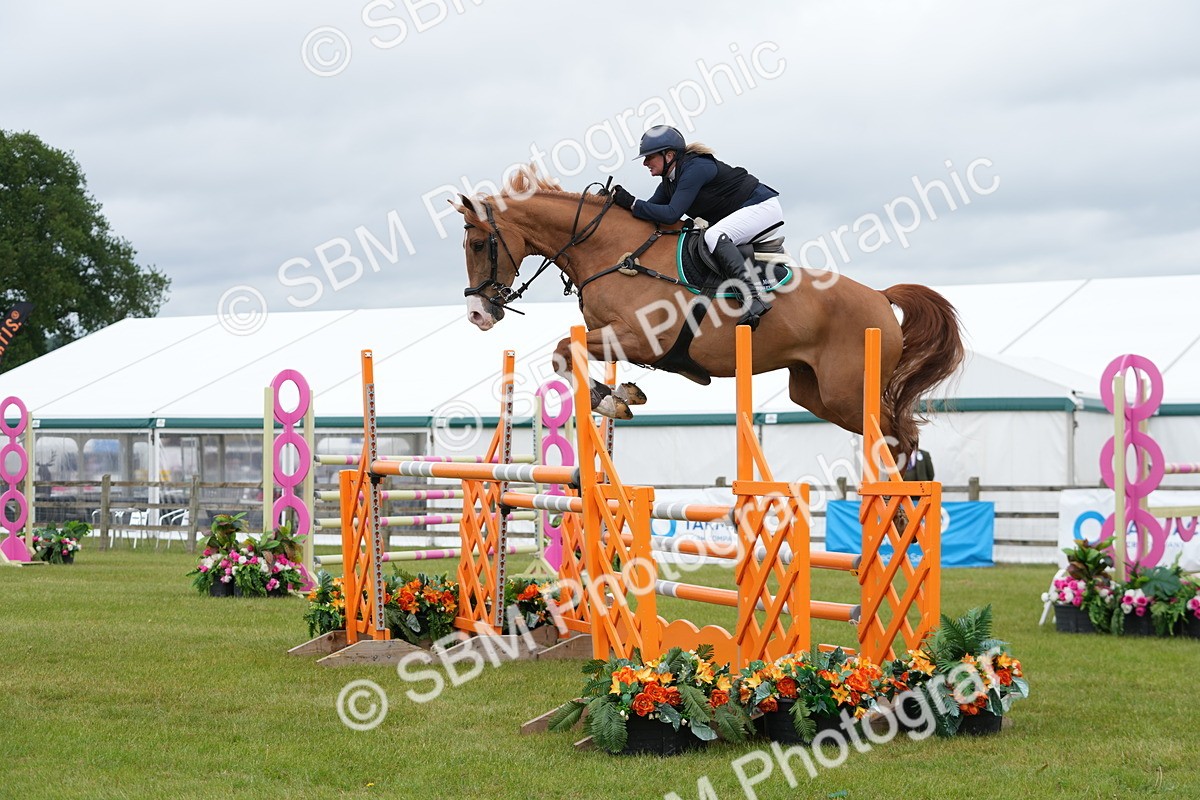 SBM_03293 - Class 201 - British Horse Feeds Speedi Beet Horse of the Year Show Grade  C