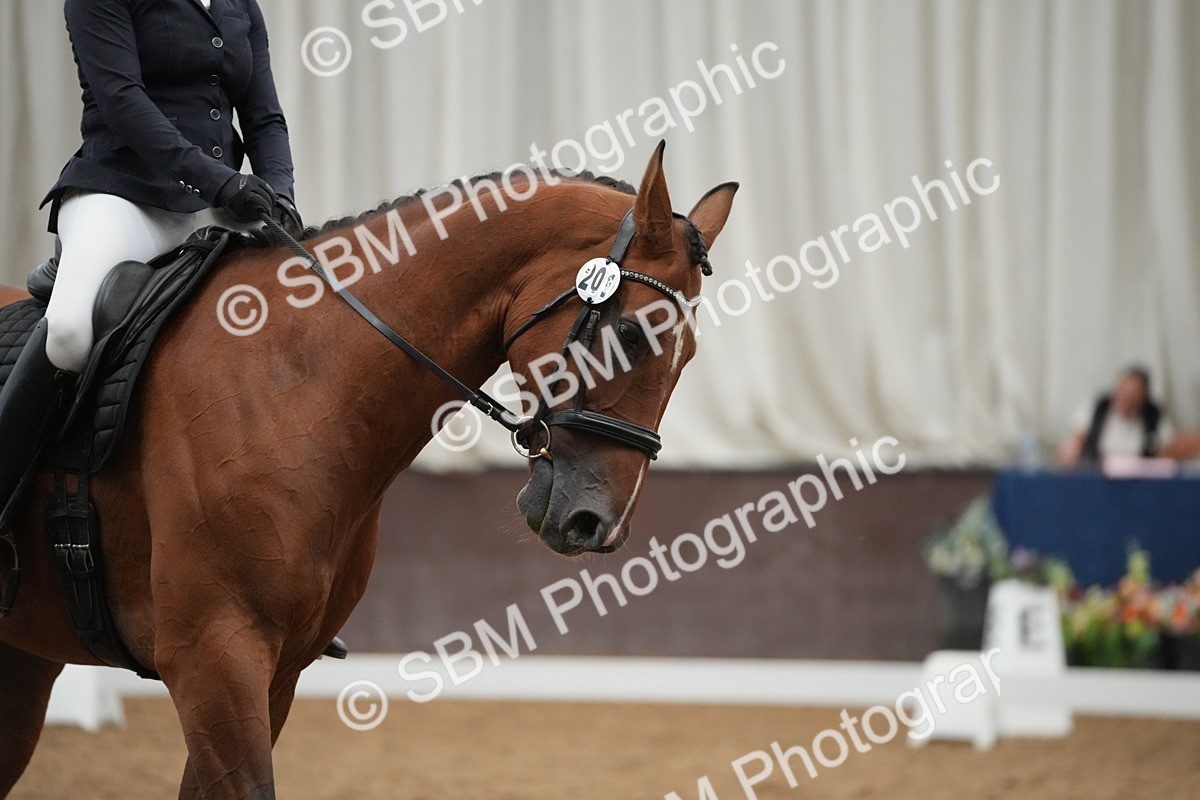 SBM_004215 - Class 11 - Elementary 2 Champs