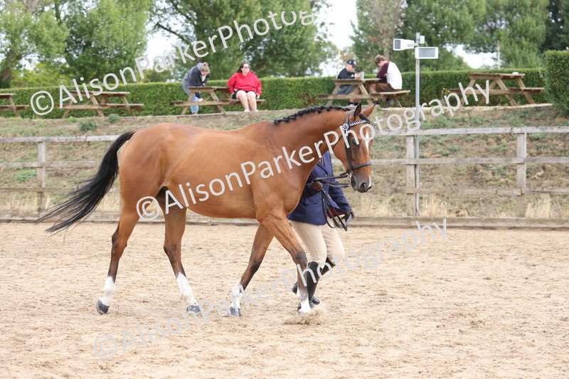 20260831-1957 - Class 5 - Retraining of Racehorses