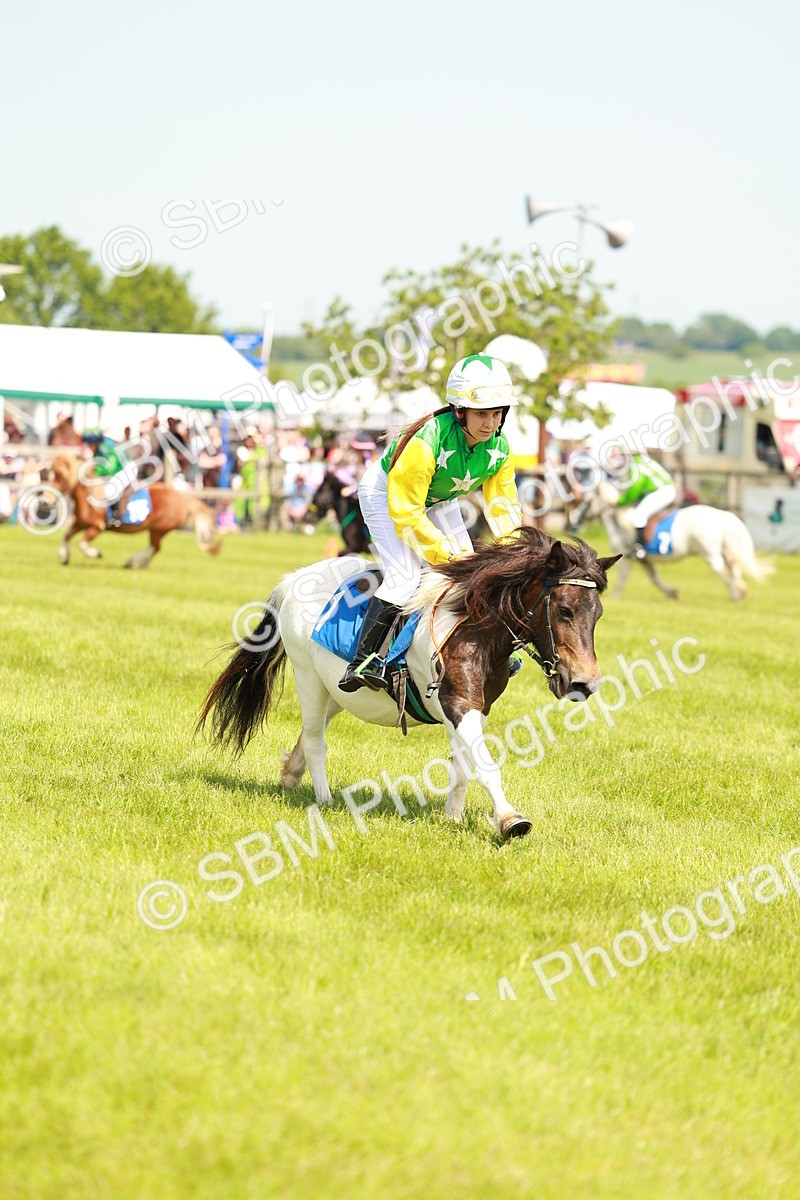 SBM_04388 - Shetland Grand National