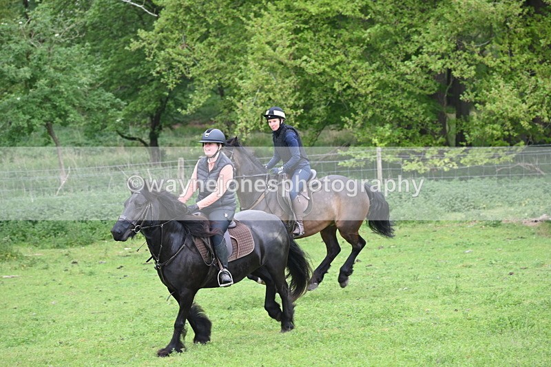 WJ6_2677 - A camera