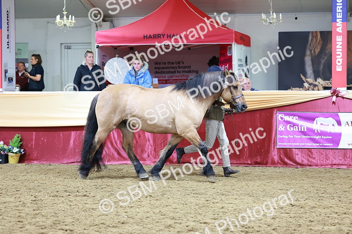 SBM_20007 - Class B - Junior Champ 11yr to 16 Years