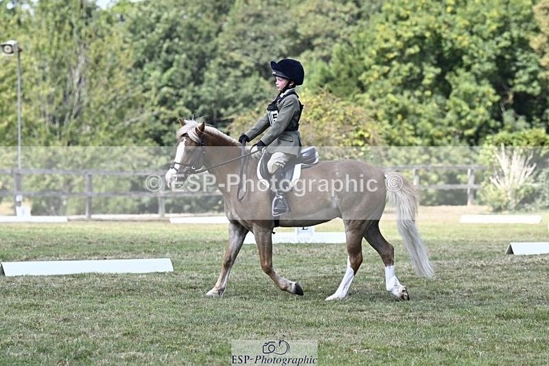 250822A-124855-21915 - DR 12.00 to End