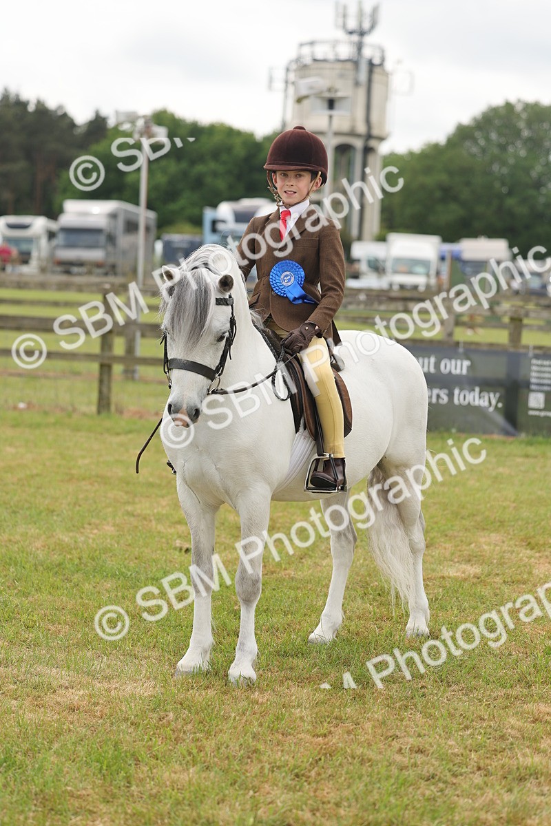 SBM_06901 - Class 74-75 - M&M Lead Rein and First Ridden Pony