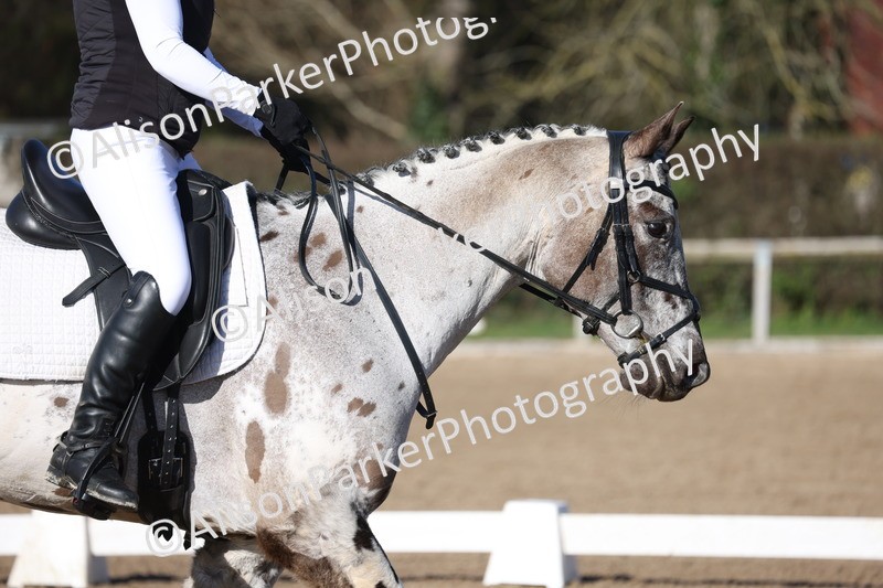 20260214-0380 - Class 4 - Novice 2