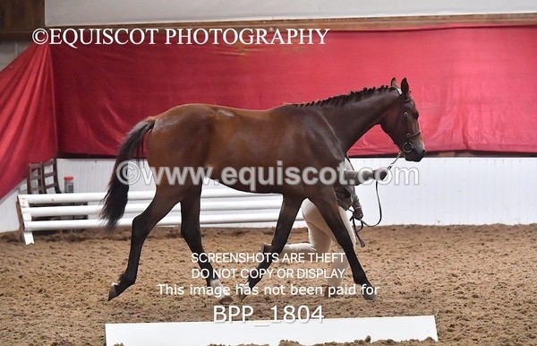 BPP_1804 - MORNING 9AM - 12PM