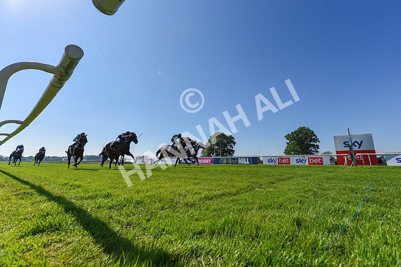 180524-Race 5-Tinto-6568 - Race 5