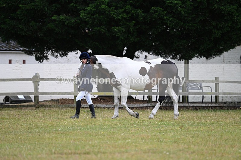 WJ7_6087 - Class 4a Prettiest Mare over 14hh