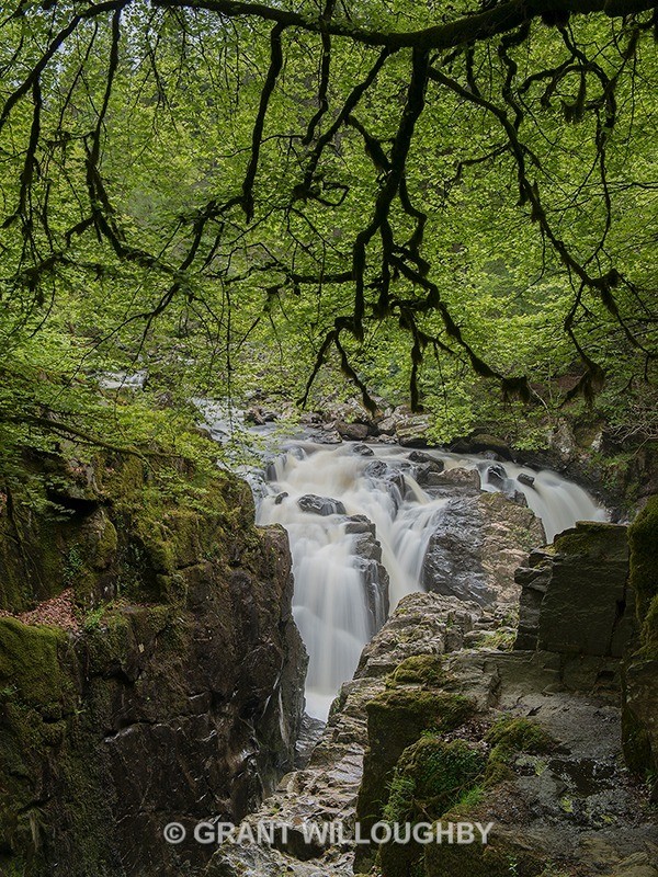 Falls at the Hermitage - Woods Trees Gorges and Waterfalls