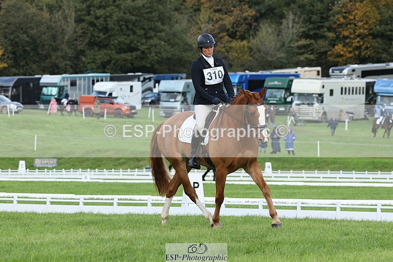 251023A-104848-03235 - D-310-Emily.R.Vincent