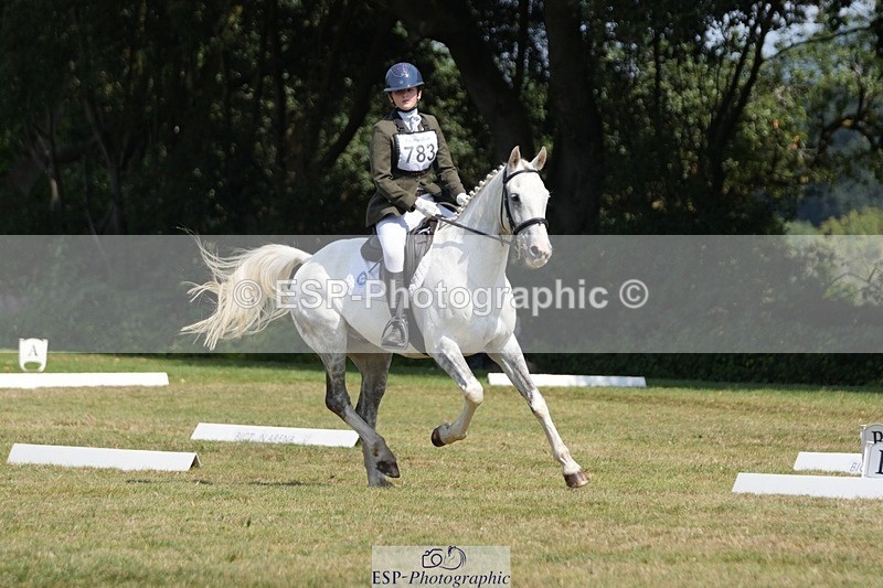 250823A-133014-31049 - Arena B