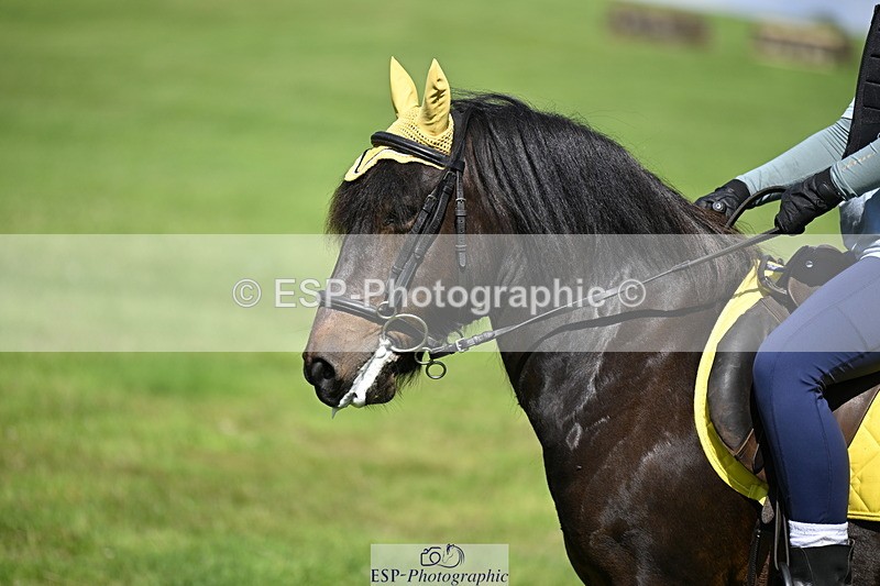 240728B-104731-00708 - Theo's Group XC