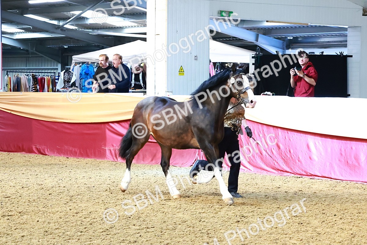 SBM_22442 - Class 902 - Supreme Final - IH Diamond