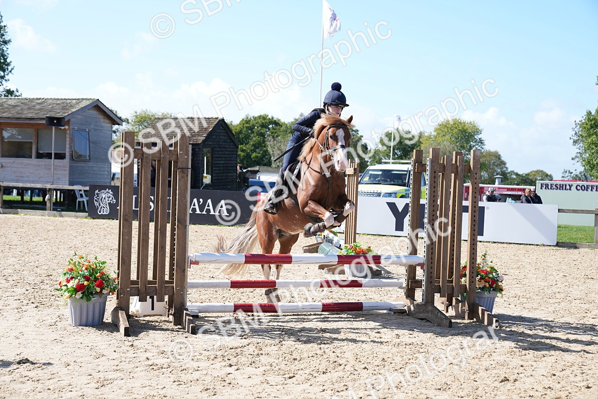 SBM_04981 - J56 - Clear Round 70cm