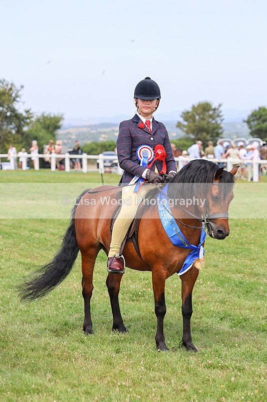 IMG_3743 - M & M Ridden Championship