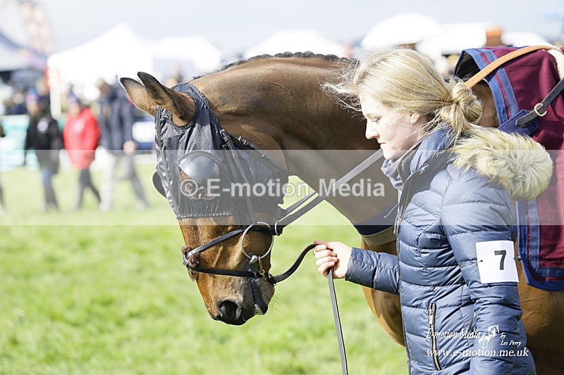 PtP 060322 203 - Blackmore & Sparkford Vale Hunt PtP 06/03/22