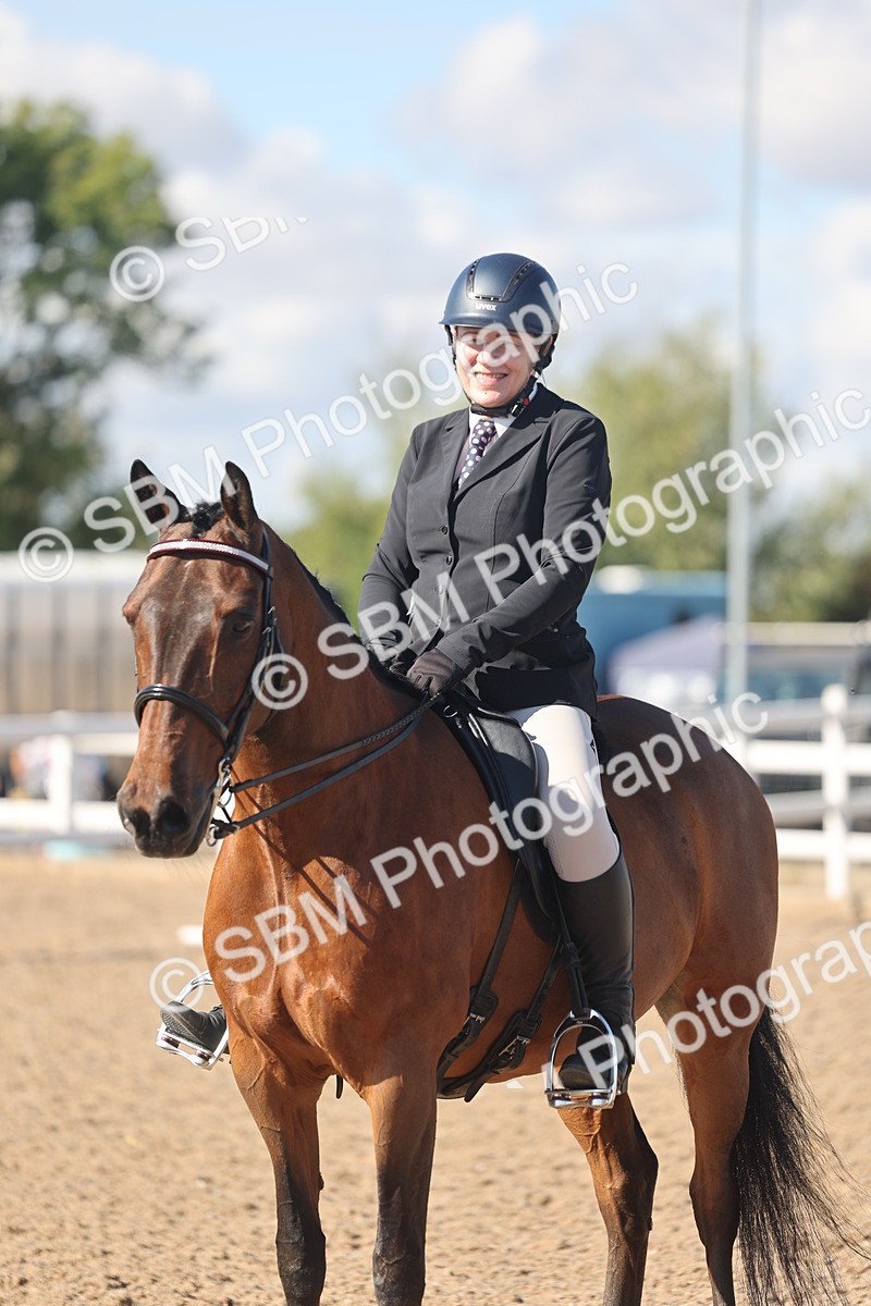 SBM_13076 - Class 305 - Ridden Foreign Breed Pure Bred