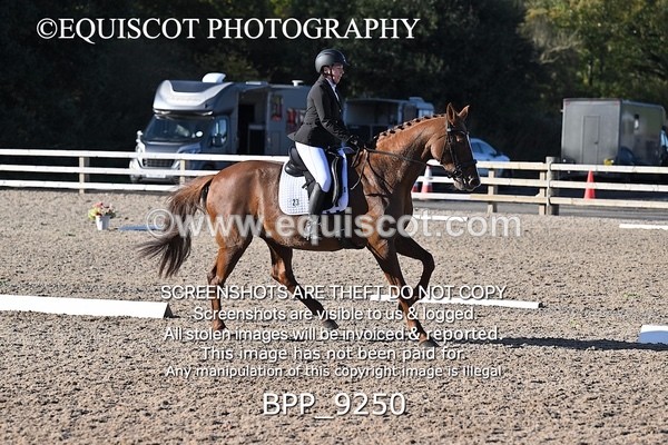 BPP_9250 - LONG ARENA