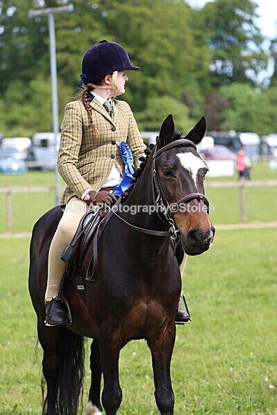 IMG_2730 - Working Hunter
