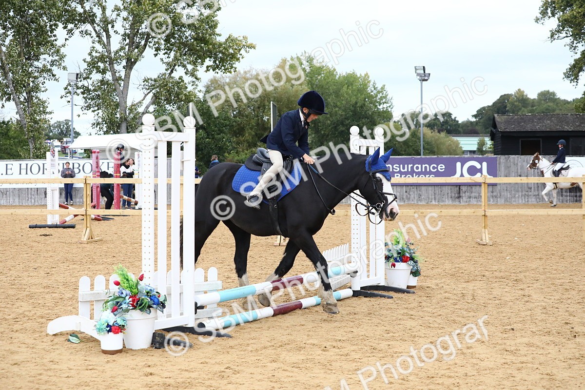 SBM_68184 - J3b - Mini Tour Junior Pony 40cm Championship