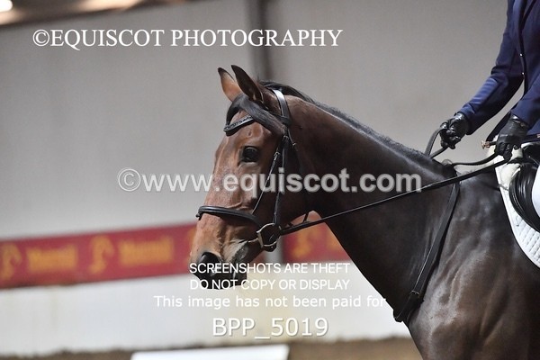 BPP_5019 - INTRO TEST 3