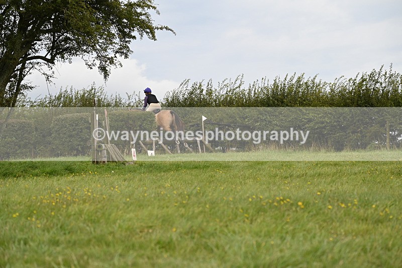 WJ6_9812 - Time 14:11 to 14:30