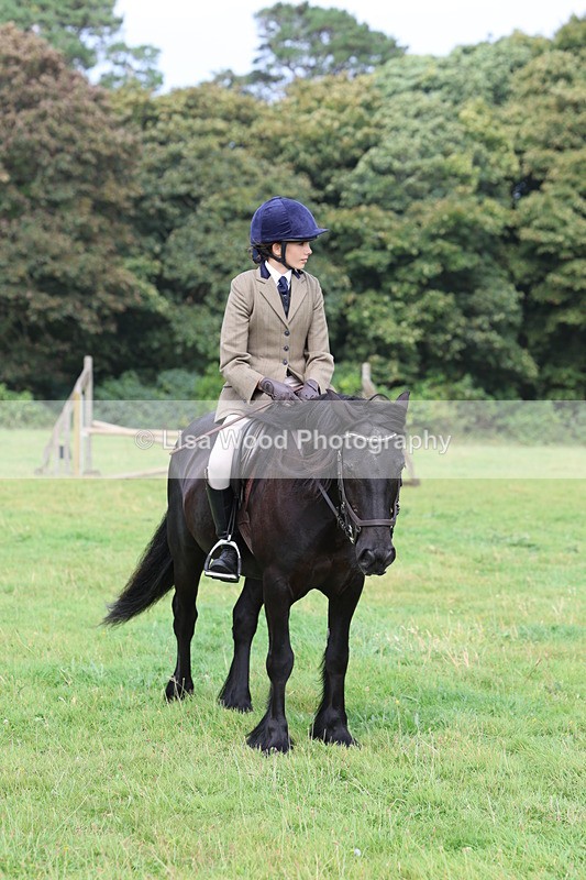 3E7A5896 - Class 26 and 27: 70cm Working Hunter