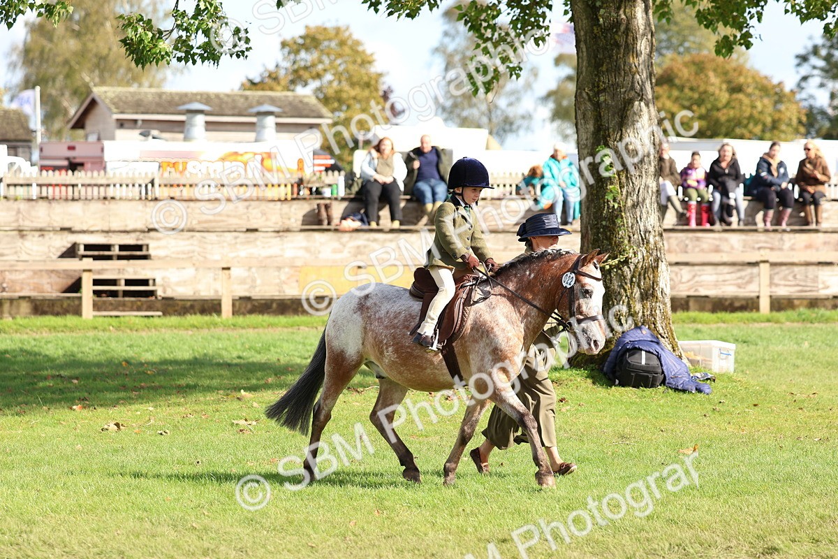 SBM_47739 - S28 - Veteran Ridden