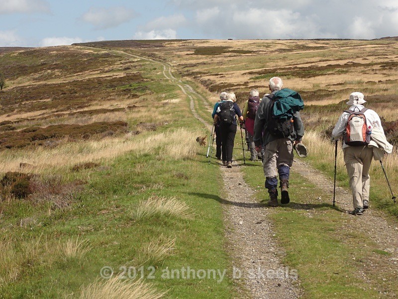 034 The trail ahead. - The Six Dales Trail Collection  2019