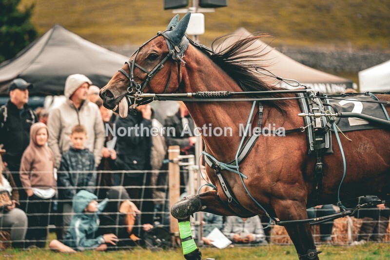 DSCF7187-2 - Kilnsey Harness racing