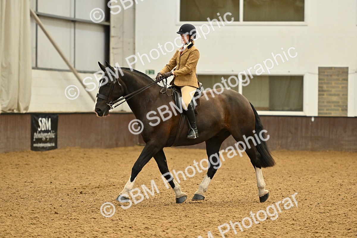 SBM_002026 - Class 21 - BSHA Ridden Show Cob