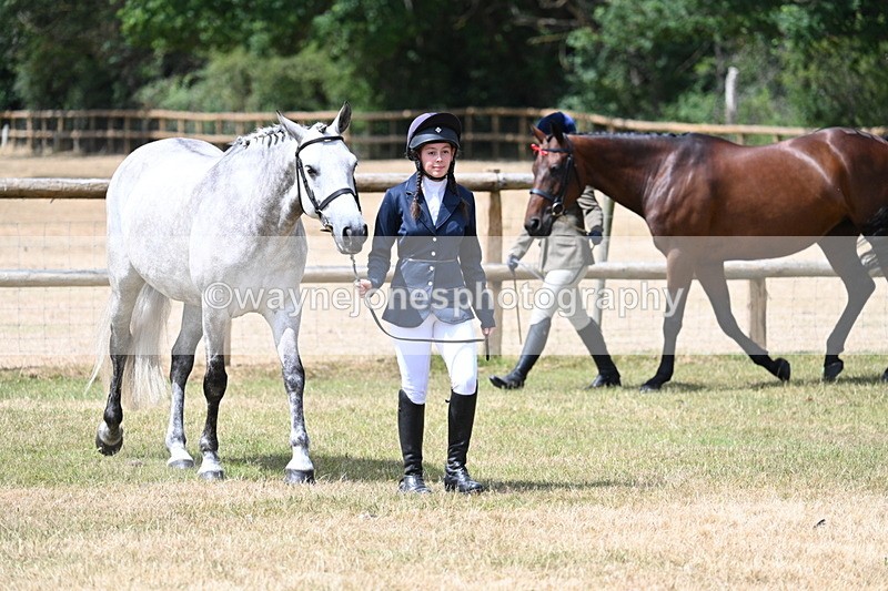 WJ7_1780 - Class 4a Prettiest Mare 14.2hh and over hand